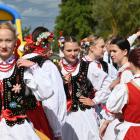zdjęcie nr 236