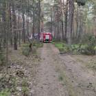 Fotka nr 1 z 4