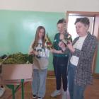 zdjęcie nr 40