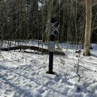 zdjęcie nr 8