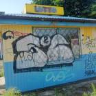 Fotka nr 3 z 13