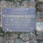 zdjęcie nr 244