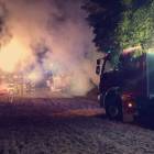 Fotka nr 2 z 13