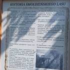 zdjęcie nr 8