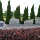 zdjęcie nr 91