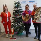 zdjęcie nr 34