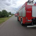 Fotka nr 2 z 6