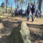 zdjęcie nr 15