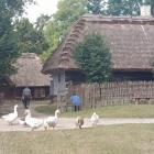 zdjęcie nr 24