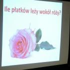 zdjęcie nr 14