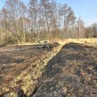 Fotka nr 1 z 8
