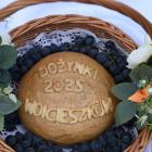 zdjęcie nr 7