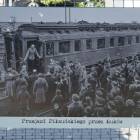 zdjęcie nr 11