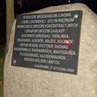 zdjęcie nr 16