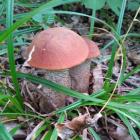 Fotka nr 1 z 24