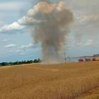 zdjęcie nr 8