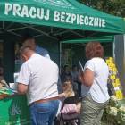 zdjęcie nr 11