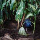 zdjęcie nr 158