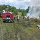 Fotka nr 1 z 2