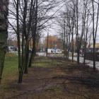 Fotka nr 1 z 5