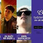 zdjęcie nr 7