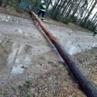 Fotka nr 4 z 13