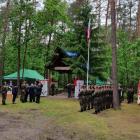 zdjęcie nr 30