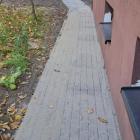 zdjęcie nr 7