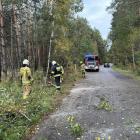 Fotka nr 1 z 2