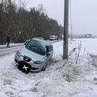 Fotka nr 2 z 3