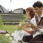 zdjęcie nr 46