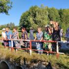 zdjęcie nr 17