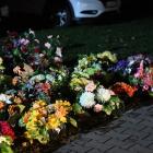 zdjęcie nr 47