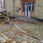 zdjęcie nr 11