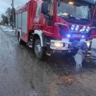 Fotka nr 1 z 8