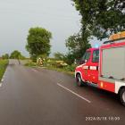 Fotka nr 2 z 4