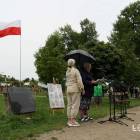 zdjęcie nr 16