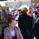 zdjęcie nr 137