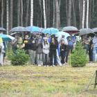 zdjęcie nr 345