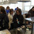 zdjęcie nr 43