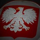 zdjęcie nr 7