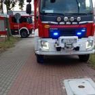 Fotka nr 2 z 4