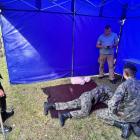 zdjęcie nr 26