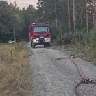 Fotka nr 5 z 6