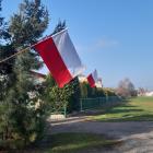 zdjęcie nr 9