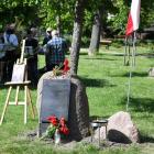 zdjęcie nr 16