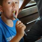 zdjęcie nr 251