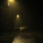 Fotka nr 4 z 21
