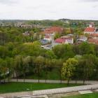 zdjęcie nr 141