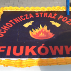 zdjęcie nr 8